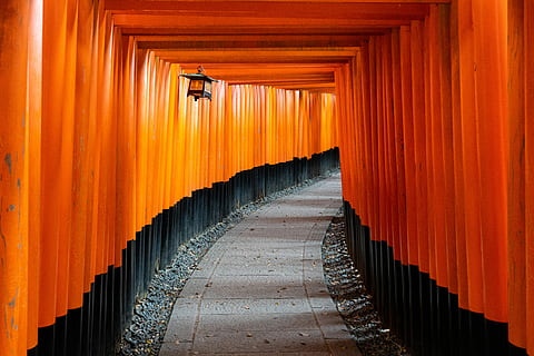 10,000 ประตู, ทางเดิน, ภายใต้, ประตู torii, เส้นทาง, ส้ม, อุโมงค์, ศาลเจ้า, โคมไฟ, เกียวโต, หลักเขต, มีชื่อเสียง, เกียวโตชิ, ฟูชิมิอินาริไทชา, ประเทศญี่ปุ่น, สำรวจ, ความเร่าร้อนอยากท่องเที่ยวพเนจร, สถานที่, สถาปัตยกรรม, ทางข้างหน้า, โครงสร้างที่สร้างขึ้น, ศาสนา, สีส้ม, ทิศทาง, เป็นแถวเป็นแนว, จิตวิญญาณ, สถานที่สักการะ, ความเชื่อ, จุดหมายปลายทางการท่องเที่ยว, อาคาร, คอลัมน์สถาปัตยกรรม, การท่องเที่ยว, ฟุตบาท, มุมมองลดลง, ไม่มีคน, กลางแจ้ง, แนวต้นไม้, 8K, CC0, โดเมนสาธารณะ, ค่าลิขสิทธิ์ฟรี