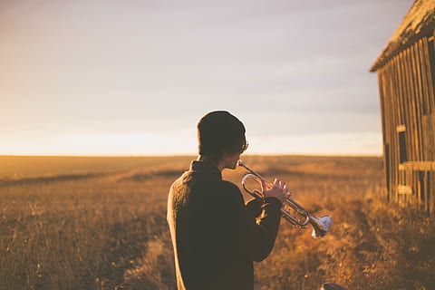 mand, spille, trompet, dagtimerne, musiker, musikinstrument, musik, guitar, violin, mennesker, udendørs, streng instrument, Kvinder, en person, violinist, natur, hunner, ung voksen, musikinstrumentstreng, livsstil, stående, kun en kvinde, solnedgang, fritidsaktivitet, Mark, himmel, rigtige mennesker, jord, plante, voksen, taljen op, afslappet tøj, bedrift, fokus på forgrunden, herrer, plukning af et instrument, frisure, 5K, CC0, offentligt domæne, royaltyfrie