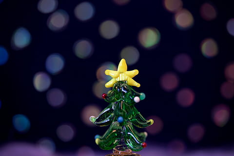 Grün, Weihnachtsbaum Glasdekor, grüne Weihnachten, Weihnachtsbaum, Glas, Dekor, Weihnachten, Dekoration, Feier, Winter, Urlaub, Geschenk, Weihnachtsverzierung, Weihnachtsdekoration, glänzend, Baum, aufwendig, Hintergründe, Jahreszeit, Unscharf gestellt, beleuchtet, Nahansicht, Fokus auf den Vordergrund, keine Leute, drinnen, Blume, blühende Pflanze, Pflanze, Frische, Schönheit in der Natur, Natur, Blütenstand, Verletzlichkeit, Blütenkopf, Blütenblatt, Zerbrechlichkeit, grüne Farbe, Gelb, selektiver Fokus, Wachstum, lila, 1080P, CC0, gemeinfrei, lizenzfrei