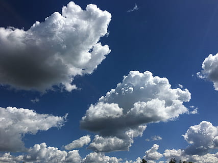 nuvole, cielo, glomerulo, coperto dalle nuvole, nube, natura, cielo blu, bianca, martinetti, blu, alto, l'altezza del, vista, tempo metereologico, sfondi, estate, all'aperto, nuvola - cielo, giorno, aria, Cloudscape, cumulo, bellezza nella natura, Colore bianco, scenics - natura, idilliaco, luce del sole, nessuno, atmosfera, la tranquillità, soffice, scena tranquilla, ambiente, meteorologia, vento, pulito, morbidezza, luminosa, 4K, CC0, dominio pubblico, privo di copyright