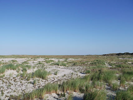 mar, dunes, sorra, naturalesa, paisatge, escenics, cel, cap gent, a l'aire lliure, paisatges, blau, còpia espai, dia, clima àrid, escenics - natura, cel clar, medi ambient, escena tranquil·la, planta, tranquil·litat, terra, bellesa a la natura, herba, desert, horitzó sobre la terra, escena no urbana, horitzó, clima, semiàrid, 4K, CC0, domini públic, lliure de regalies