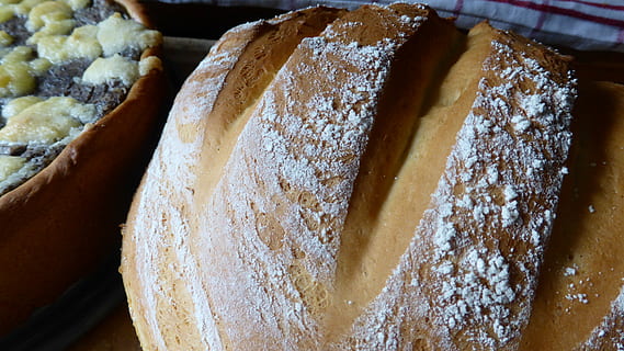 brood, gistbrood, deeg, krokante, melig, meel, bak je eigen, bakken, keuken-, begroting, hobby, eten, voedsel, gebakken goederen, zelfs gebakken, ontbijt, eten en drinken, versheid, detailopname, gebakken, binnenshuis, zoet eten, gezond eten, geen mensen, welzijn, stilleven, zoet, aflaat, toetje, eigengemaakt, hoge hoekmening, op te slaan, bakkerij, Frans voedsel, 4K, CC0, publiek domein, royaltyvrij