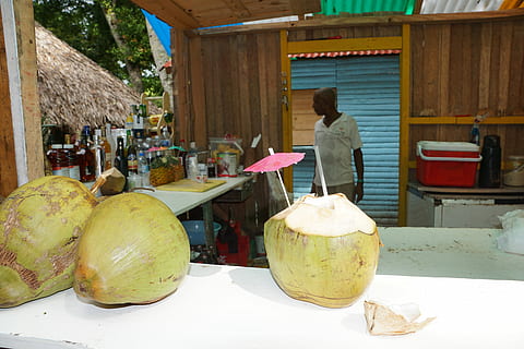 cocos, Carib, beure, menjar i beguda, ocupació, menjar, fruita, una persona, treball, persones reals, alimentació saludable, frescor, negocis, benestar, negoci petit, venda al detall, mercat, Paradeta, dia, dones, persones incidentals, vista del darrere, adult, a la venda, visualització al detall, 5K, CC0, domini públic, lliure de regalies