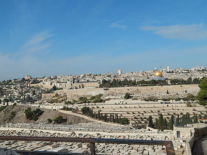 městské budovy, stromy, Jeruzalém, chrám, Pohled, mount, olivy, v neděli, hrobky, kupole, Skála, cestovat, svatý, Arab, Izrael, Palestina, mezník, náboženský, mešita, nebe, architektura, stavba, exteriér budovy, Příroda, nikdo, Dějiny, den, minulost, město, budova, destinace, starověké, venku, slunečního světla, mrak - nebe, modrý, panoráma města, rezidenční čtvrti, starověké civilizace, 1080P, CC0, veřejná doména, bez autorských práv