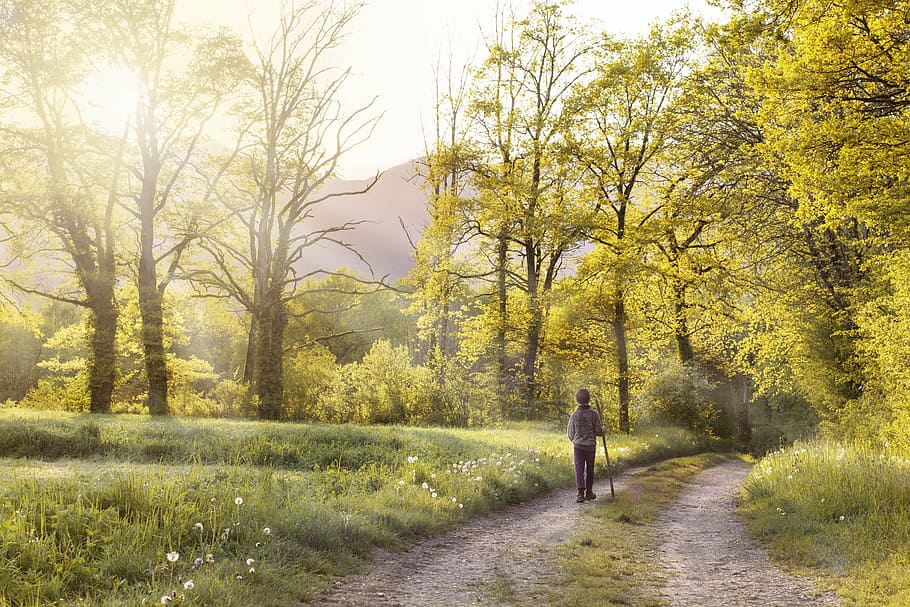persona, in piedi, strada, chiaro, blu, cielo, giorno, sentiero, Andar, campo, paesaggio, primavera, sole, camminare, selvaggio, natura, fare una passeggiata, escursioni a piedi, bambino, all'aperto, autunno, persone, a piedi, albero, uomini, foresta, donne, stili di vita, pianta, lunghezza intera, persone reali, attività di svago, la strada davanti, bellezza nella natura, una persona, direzione, retrovisore, la tranquillità, adulto, modificare, 5K