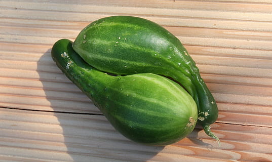 cogombres, parell, verdures, menjar i beguda, menjar, alimentació saludable, color verd, frescor, benestar, vegetals, taula, cap gent, material de fusta, natura morta, ombra, vista d’angle alt, llum solar, primer pla, a l'interior, fruita, naturalesa, aliments crus, dia, menjar vegetarià, mat de lloc, 2K, CC0, domini públic, lliure de regalies