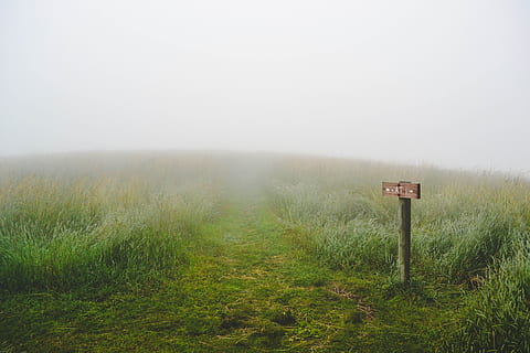 Zielony, pole trawy, mgła, szyld, pokrywa, zamglenie, Zielona trawa, dzień, trawa, pole, znak, ścieżka, Natura, krajobraz, na dworze, spokojna scena, spokój, roślina, żadnych ludzi, niebo, środowisko, wylądować, porozumiewanie się, scenics - natura, Informacja, piękno natury, 4K, CC0, domena publiczna, darmowe zdjęcia