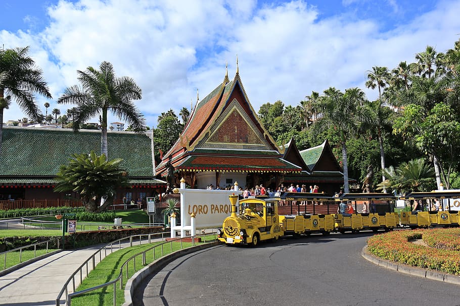 tren, cua, mòdul, baranes, la cua, loro parque, tenerife, entrada, passarel·la, palmeres, jardí zoològic, zoo, arquitectura, estructura construïda, exterior de l'edifici, núvol - cel, cel, dia, arbre, religió, planta, espiritualitat, creença, lloc de culte, transport, edifici, naturalesa, Palmera, ciutat, clima tropical, a l'aire lliure, santuari, 5K