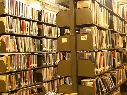 biblioteca, libro, libri, lettura, studia, scuola, Università, librerie, storia, ora della favola, fiabe, pagine, poesia, classici, ricerca, pubblicazione, mensola, grande gruppo di oggetti, formazione scolastica, scaffale, abbondanza, in casa, letteratura, preparativi, di fila, ordine, apprendimento, variazione, nessuno, fianco a fianco, scelta, collezione, natura morta, libro con copertina rigida, 1080P, CC0, dominio pubblico, privo di copyright