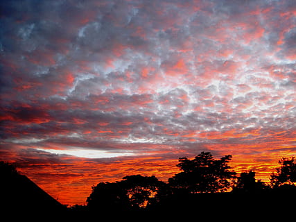 le coucher du soleil, des nuages, parchemin, en vrac, Orange, des arbres, silhouette, ciel, crépuscule, la nature, couleur orange, en plein air, nuage - ciel, paysages, arbre, beauté dans la nature, paysages - nature, plante, tranquillité, scène tranquille, personne, ciel dramatique, idyllique, faible angle de vue, architecture, cloudscape, extérieur du bâtiment, ciel romantique, 2K, CC0, domaine public, libre de droits