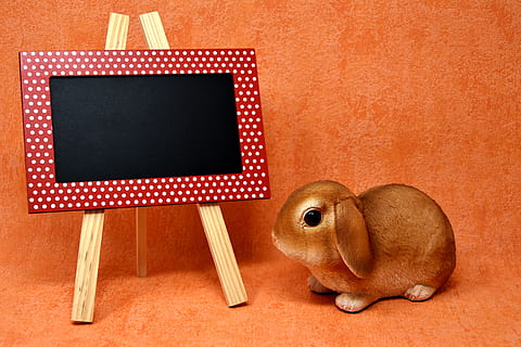 maro, iepure figurină, lângă, roșu, rama foto, Paști, iepurașul de Paște, primăvară, figura, decor de Paști, Paste Fericit, felicitare, text dom, drăguţ, decoratiuni de masă, figuri de Paști, cifrele, vacanţă, jucărie, nici o persoana, în interior, animal, jucarie de plus, spațiu copie, ursuleț, animale tematice, reprezentare, a închide, studio shot, lemn - material, reprezentarea animalelor, artă și sculptură, creativitate, mamifer, model, un animal, cadru, mic, gol, 5K, CC0, domeniu public, fără drepturi de autor