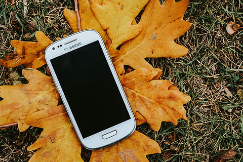 autumn, leaves, ground, Autumn leaves, yellow, mobile, smartphone, fall, brown, leaf, nature, technology, outdoors, smart Phone, mobile Phone, no People, wireless Technology, telephone, portable information device, communication, high angle view, device screen, screen, plant part, connection, portability, day, grass, field, change, 5K
