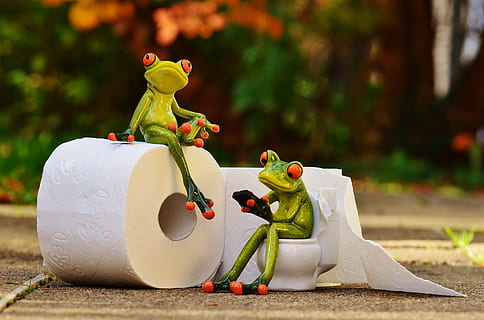 frøer, sidder, toilet skål figur, frø, loo, session, sjov, toiletpapir, Toilet, nuttet, mobiltelefon, grøn, dyr, repræsentation, menneskelig repræsentation, legetøj, figur, mandlig lighed, fuld længde, kreativitet, Kunst og håndværk, dag, plante, natur, barndom, mennesker, udendørs, fokus på forgrunden, sidebillede, tæt på, 4K, CC0, offentligt domæne, royaltyfrie