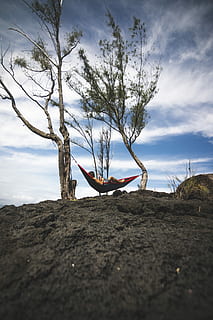 persona, estirat, negre, vermell, hamaca, durant el dia, arbre, esgarrifós, ukelele, cel, núvol - cel, naturalesa, una persona, planta, activitat d'oci, terra, dia, bellesa a la natura, tranquil·litat, persones reals, estils de vida, escenics - natura, arbre nu, camp, branca, escena tranquil·la, a l'aire lliure, longitud completa, braç humà, braços aixecats, 5K, CC0, domini públic, lliure de regalies