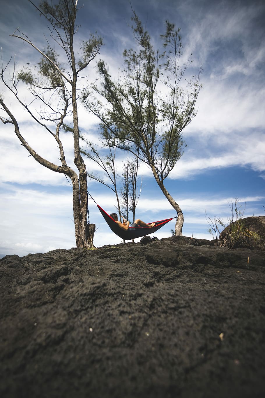 persona, estirat, negre, vermell, hamaca, durant el dia, arbre, esgarrifós, ukelele, cel, núvol - cel, naturalesa, una persona, planta, activitat d'oci, terra, dia, bellesa a la natura, tranquil·litat, persones reals, estils de vida, escenics - natura, arbre nu, camp, branca, escena tranquil·la, a l'aire lliure, longitud completa, braç humà, braços aixecats, 5K