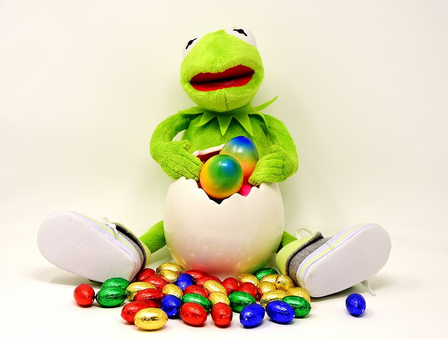 sortiment af ægfarve med sort farve, påske, påskeæg, Kermit, sjov, farvet, god påske, farverig, farve, æg, dekoration, påskehilsen, farverige æg, påskeægmaleri, forår, mad, blødt legetøj, udstoppet dyr, multi farvet, ferie, fest, mad og drikke, Påske hare, dyr, studio skud, ferie - begivenhed, indendørs, repræsentation, legetøj, Kunst og håndværk, dyr repræsentation, ingen mennesker, 4K