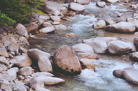 ambiente, fluir, hojas, al aire libre, plantas, río, rock, rocoso, piedra, corriente, verano, viaje, arboles, agua, naturaleza, roca - objeto, bosque, cascada, sólido, belleza en la naturaleza, día, nadie, paisajes - naturaleza, agua que fluye, tierra, tranquilidad, fluido, movimiento, larga exposición, corriente - agua que fluye, poder en la naturaleza, 2K, CC0, dominio público, libre de derechos