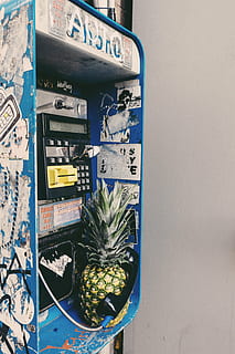 white, blue, black, telephone booth, telephone, number, dial, wire, ring, box, stand, contact, station, pineapple, no people, vending machine, day, close-up, outdoors, communication, indoors, wall - building feature, healthy eating, text, nature, wellbeing, container, metal, fruit, variation, sunlight, plant, choice, food and drink, 5K, CC0, public domain, royalty free