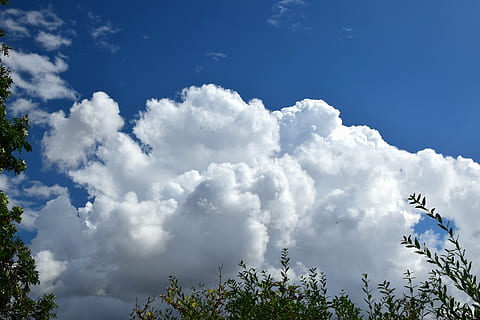 clouds, sky, blue, clouds form, trees, nature, outdoors, summer, cloud - Sky, weather, backgrounds, tree, plant, day, no people, low angle view, beauty in nature, flying, air vehicle, growth, scenics - nature, religion, white color, airplane, mid-air, spirituality, 5K, CC0, public domain, royalty free