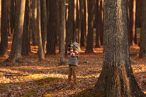 nen petit, de peu, arbres, presa, imatge, durant el dia, càmera, shutterbug, foto, fora, hivern, arbre, bosc, terra, tronc de l'arbre, tronc, planta, naturalesa, una persona, activitat, activitat d'oci, infància, roba casual, descendència, temes de fotografia, nen, longitud completa, vista del darrere, a l'aire lliure, 4K, CC0, domini públic, lliure de regalies