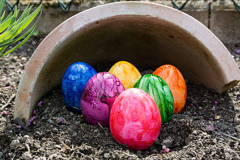 Ostereier, bunt, Ostern, Osterei, Ei, Dekoration, Frohe Ostern, farbig, Osterei malen, Farbe, Frühling, Ostertradition, gemalt, draußen, Natur, Lebensmittel, schmutzig, mehrfarbig, Tag, keine Leute, Essen und Trinken, Feier, Schmutz, Urlaub, Nahansicht, Container, Ferienveranstaltung, Pflanze, High Angle View, lila, Gartenarbeit, 4K, CC0, gemeinfrei, lizenzfrei