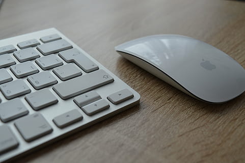 măr mouse magic, lângă, tastatură Apple, măr, tastatură, șoarece, calculator, tastatura, tehnologie, Internet, Afaceri, mouse-ul computerului, PC, laptop, echipament, echipamente de calcul, comunicare, masa, conexiune, tehnologia fără fir, în interior, a închide, nici o persoana, natură moartă, computere, lemn - material, selectiv, modern, vedere în unghi mare, cheia computerului, rumegus, 5K