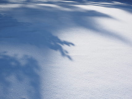 zăpadă, copac umbra, zăpadă peisaj, iarnă, soare, umbră, rece, snowfield, joc de umbre, temperatura rece, natură, lumina soarelui, zi, culoare alba, nici o persoana, frumusețe în natură, vedere în unghi mare, acoperire, mediu inconjurator, peisaj, teren, liniște, în aer liber, camp, scenice - natura, se concentreze pe umbra, un munte acoperit de zăpadă, praf de zăpadă, 4K, CC0, domeniu public, fără drepturi de autor