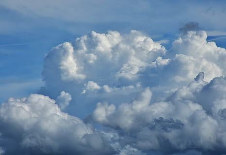 vogel, oog foto, wit, wolken, natuur, wolken vorm, hemel, blauw, wolken band, zomerwolken, helder, cloudscape, wolk - lucht, schoonheid in de natuur, scenics - natuur, geen mensen, achtergronden, kalmte, dag, rustige scène, buitenshuis, witte kleur, lage hoekweergave, idyllisch, volledig kader, bewolking, pluizig, meteorologie, zachtheid, onheilspellend, 4K, CC0, publiek domein, royaltyvrij