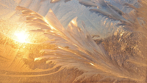 hiver, les patrons, zes, conception, Noël, décoration, vacances, saison, scintillait, la magie, la glace, congelé, beauté, gel, scène, élégance, personne, la nature, lumière du soleil, beauté dans la nature, journée, plante, croissance, en plein air, terre, plein cadre, arrière-plans, tranquillité, marron, modèle, paysages - nature, environnement, paysage, champ, couleur or, scène non urbaine, climat aride, 4K, CC0, domaine public, libre de droits