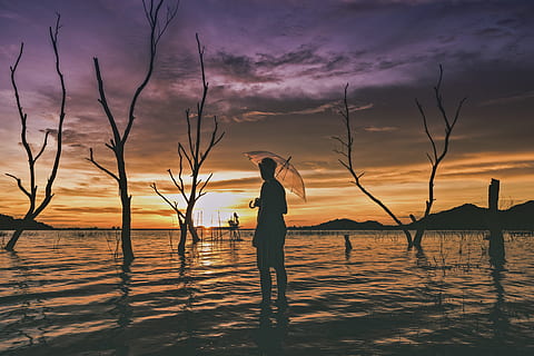 Licht, Dämmerung, Landschaft, Natur, allein, hinterleuchtet, Strand, Wolken, tote Bäume, Abend, See, Mann, Ozean, draußen, Person, Reflexion, Szene, Silhouette, Himmel, Sonne, Sonnenuntergang, Reise, Bäume, warten, Wasser, Schönheit in der Natur, eine Person, echte Menschen, Szenen - Natur, Stehen, Lebensstile, wolke - himmel, Freizeitbeschäftigung, Ruhe, ruhige Szene, Ufergegend, Land, 5K, CC0, gemeinfrei, lizenzfrei