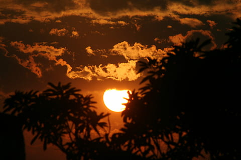 Sabbern, Dämmerung., Silhouette Fotografie, Bäume, Himmel, Sonnenuntergang, Schönheit in der Natur, Silhouette, Sonne, wolke - himmel, Baum, Szenen - Natur, Pflanze, Ruhe, Sonnenlicht, orange Farbe, ruhige Szene, Natur, keine Leute, idyllisch, draußen, Umgebung, Dramatischer Himmel, Wachstum, 2K, CC0, gemeinfrei, lizenzfrei