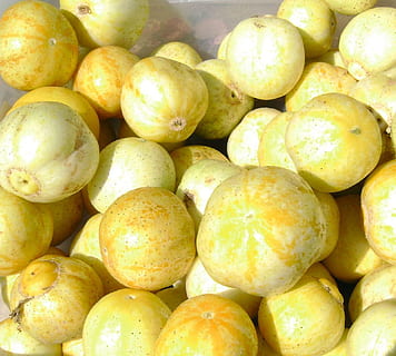 squash, græskar, efterår, grøntsag, sæson-, taksigelse, sæson, høst, dekoration, centnergraeskar, landbrug, oktober, fremstille, november, afgrøde, ornamental, ingrediens, gård, butternut, have, lappe, dyrke, mad og drikke, sund kost, stor gruppe af objekter, mad, overflod, friskhed, velvære, fuld ramme, baggrunde, marked, frugt, til salg, detail, ingen mennesker, markedsbod, tæt på, gul, dag, høj vinkel visning, bunke, moden, 720P, CC0, offentligt domæne, royaltyfrie