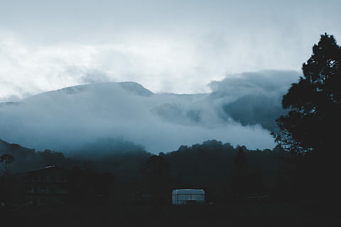 Munte, acoperit, ceaţă, timpul zilei, aburi, pădure, nor, noros, fum, negru, tundră, călătorie, excursie, explora, târziu, întuneric, rece, cu toane, dispozitie, copac, cer, nor - cer, frumusețe în natură, scenice - natura, mediu inconjurator, plantă, o scenă liniștită, natură, siluetă, liniște, nici o persoana, scenă non-urbană, peisaj, zi, în aer liber, teren, poluarea aerului, 5K, CC0, domeniu public, fără drepturi de autor