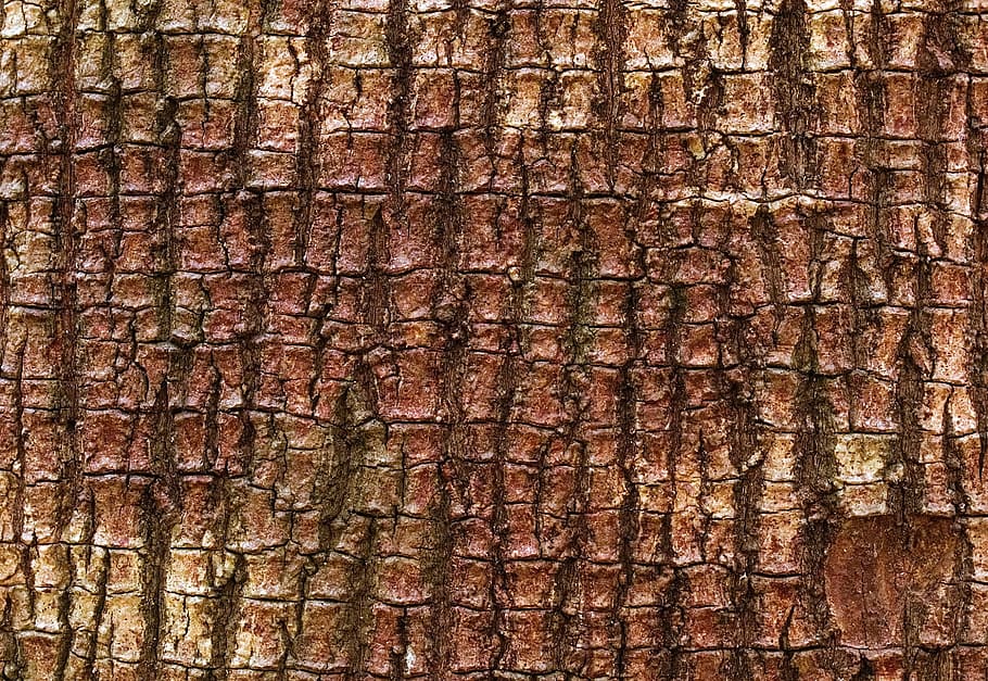 kůra, strom, tmel, vzor, dřevo, hnědý, Příroda, tkát, zblízka, kmen stromu, texturou, den, nikdo, venku, pozadí, celý rám, detail, hrubý, zvětralý, starý, kufr, rezavý, dřevo - materiál, poškozen, pokles, efekt, střešní taška, 1080P