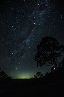 galàxia aurora, obres d’art de nit, nit, cel, estrella, arbre, silueta, brillar, verd, blau, Via Làctea, campament, espai, fred, celestial, galàxia, estrella - espai, bellesa a la natura, astronomia, escenics - natura, camp estel·lar, naturalesa, tranquil·litat, escena tranquil·la, vista d’angle baix, cap gent, idíl·lic, planta, infinit, a l'aire lliure, 4K, CC0, domini públic, lliure de regalies
