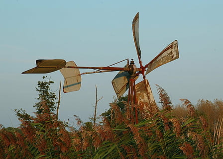wiatrowskaz, wiatr, zakładka, czujnik kierunku wiatru, metal, girouette, niebo, roślina, Natura, środowisko, dzień, alternatywna energia, energia odnawialna, ochrona środowiska, wytwarzanie paliwa i energii, żadnych ludzi, tradycyjny wiatrak, drzewo, moc wiatru, turbina, czyste Niebo, wylądować, turbina wiatrowa, pole, na dworze, niski kąt widzenia, 720P, CC0, domena publiczna, darmowe zdjęcia