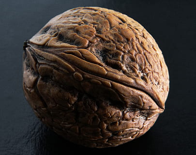 fotografía de nogal, nuez, ceras de nuez, difícil, cáscara, marrón, de cerca, comida, comida y bebida, adentro, naturaleza muerta, frescura, bienestar, nuez - comida, foto de estudio, alimentación saludable, mesa, nadie, fondo negro, Fruta, modelo, cáscara de nuez, listo para comer, bocadillo, 1080P, CC0, dominio público, libre de derechos