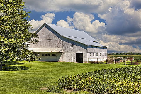 lade, rustik, staldene, forvitret, ohio, digital kunst, landdistrikterne, naturskøn, Land, landskabet, landskab, skur, skure, gård, gårde, landbrug, landbrugs, stuehus, Champaign, region, americana, Foto, fotografi, struktur, strukturer, sturgell, william sturgell, bill sturgell, historisk, hjem indretning, bygninger, skyer, himmel, træ, træer, overskyet, ukrudt, champaign county, Urbana, arkitektur, bygget struktur, plante, sky - himmel, bygning udvendig, bygning, græs, jord, Mark, natur, dag, miljø, ingen mennesker, grøn farve, vækst, hus, landlige scene, udendørs, 5K, CC0, offentligt domæne, royaltyfrie