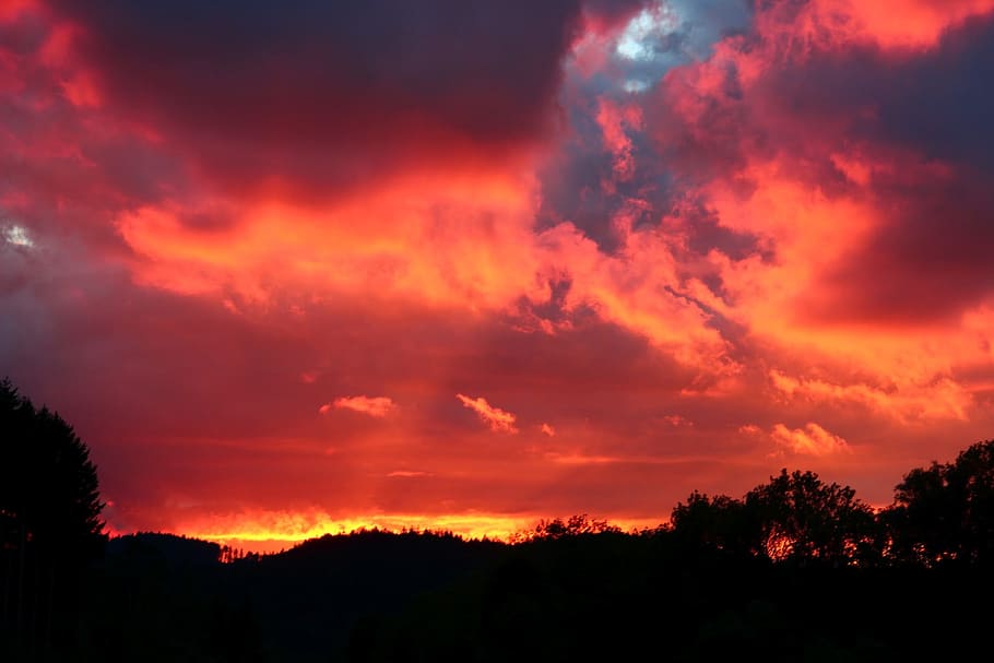 Himmel, Wolken, Hellrot, Bäume, Sonnenuntergang, wolke - himmel, Schönheit in der Natur, Szenen - Natur, Baum, Silhouette, Ruhe, ruhige Szene, keine Leute, Dramatischer Himmel, orange Farbe, Pflanze, Natur, rot, Umgebung, Landschaft, idyllisch, Wald, dunkel, draußen, 1080P