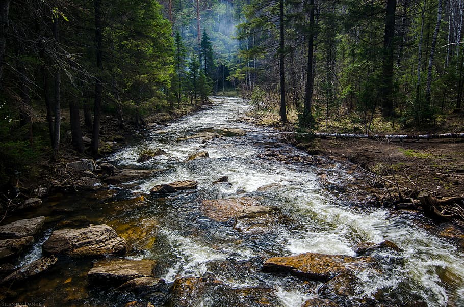 sø nær skoven, flod, midten, træer, træ, klippe, Skov, vand, strøm, sten-, natur, Ural, rør, Camping, robust, udendørs, økologi, jord, plante, skønhed i naturen, ro, ingen mennesker, solid, flydende vand, vækst, scenics - natur, rock-objekt, dag, strøm - rindende vand, ikke-urbane scene, flyder, 2K