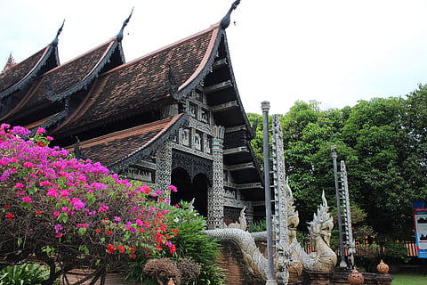 Blumen, Tempel, Fliese, die Architektur, Pflanze, gebaute Struktur, Blume, blühende Pflanze, Gebäudehülle, Himmel, Natur, Baum, Gebäude, Anbetungsstätte, Wachstum, Tag, Spiritualität, keine Leute, Religion, Glauben, Flachwinkelansicht, Dach, draußen, 2K, CC0, gemeinfrei, lizenzfrei
