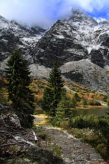 vuoret, näkymä, maisema, tatry, vuorten kauneus, matkailu, kauneus luonnossa, vuori, maisemat - luonto, kasvi, rauhallinen kohtaus, puu, tyyneys, ei ihmisiä, luonto, ei-kaupunkikuvia, taivas, päivä, vuorijono, rock, ympäristö, maa, idyllinen, kasvu, vankka, ulkona, muodostus, 4K, CC0, public domain, rojaltivapaa