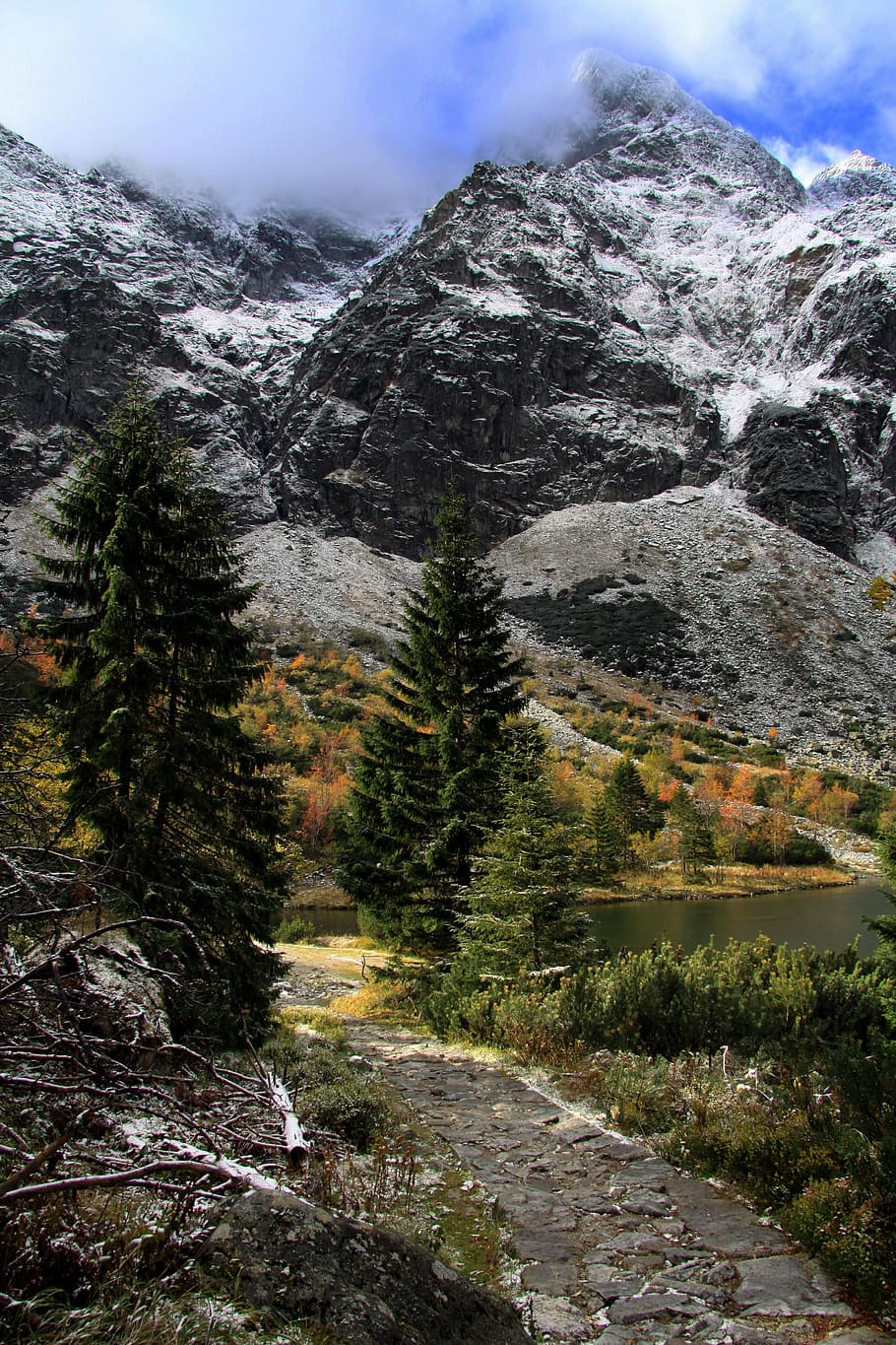 vuoret, näkymä, maisema, tatry, vuorten kauneus, matkailu, kauneus luonnossa, vuori, maisemat - luonto, kasvi, rauhallinen kohtaus, puu, tyyneys, ei ihmisiä, luonto, ei-kaupunkikuvia, taivas, päivä, vuorijono, rock, ympäristö, maa, idyllinen, kasvu, vankka, ulkona, muodostus, 4K