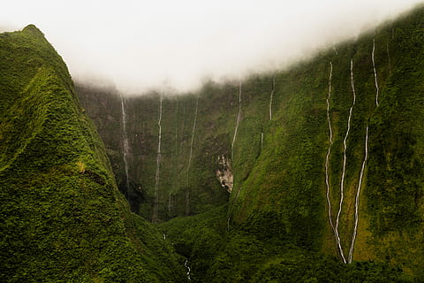 canyella de waimea, -, fix, cobert de molsa, formació de roca, boira, muntanya, núvol, ennuvolat, verd, molsa, cascada, corrent, bosc, siedowphoto, kauai, arbre, planta, color verd, bellesa a la natura, tranquil·litat, escenics - natura, escena tranquil·la, terra, naturalesa, dia, medi ambient, creixement, cap gent, escena no urbana, paisatge, idíl·lic, fullatge, a l'aire lliure, selva tropical, 5K, CC0, domini públic, lliure de regalies