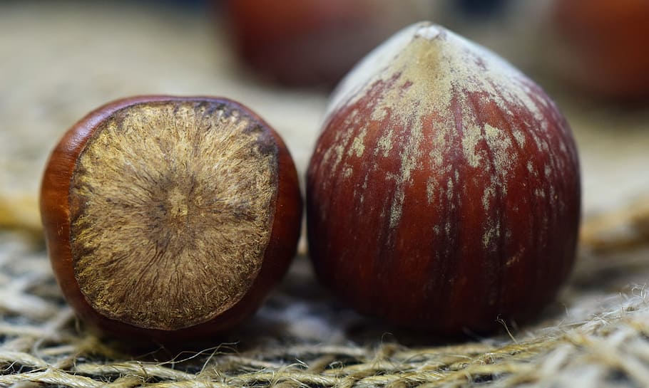 skaller, nutshells, Brun, sund og rask, om, tæt, nødder, hasselnødder, frugt, mad, mad og drikke, sund kost, tæt på, friskhed, velvære, ingen mennesker, selektiv fokusering, grøntsag, organisk, plante, fokus på forgrunden, natur, dag, moden, landbrug, udendørs, høst, to objekter, 5K