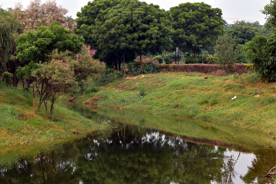 Bäume, Reflexion, Teich, Bach, Natur, Morgen, Einsamkeit, Pflanze, Baum, Wasser, Ruhe, ruhige Szene, See, Wachstum, grüne Farbe, Schönheit in der Natur, Szenen - Natur, keine Leute, Gras, Tag, Nicht-städtische Szene, Wald, Ufergegend, Land, draußen, Sumpf, 5K