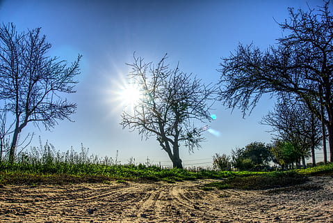 słońce, promień słońca, podświetlenie, nastrój, niebo, niebieski, światło, Natura, drzewo, jesień, promienie, światło słoneczne, pas ruchu, krajobraz, hdr, wysoki zakres dynamiczny, kontrast, roślina, spokój, spokojna scena, scenics - natura, środowisko, piękno natury, scena pozamiejska, wylądować, żadnych ludzi, pole, na dworze, wzrost, Droga, dzień, 5K, CC0, domena publiczna, darmowe zdjęcia