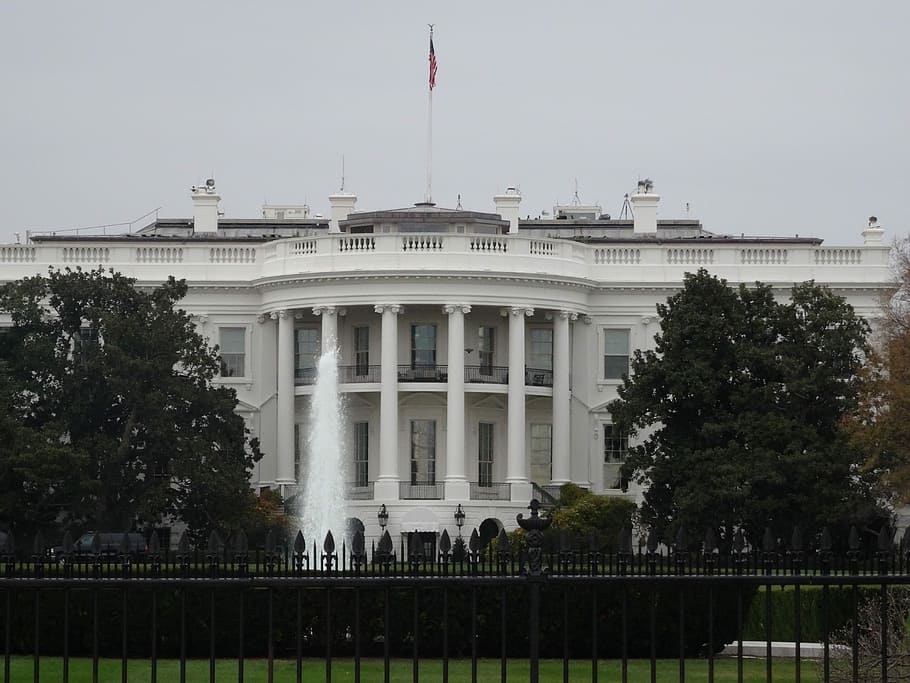 casa Blanca, dc, blanc, casa, govern, exterior de l'edifici, arquitectura, arquitectura i edificis, EUA, Washington dc, bandera, estructura construïda, el patriotisme, política, columna arquitectònica, planta, arbre, cel, destinacions de viatge, ciutat, naturalesa, dia, cap gent, a l'aire lliure, palau de justícia, neoclàssic, 5K