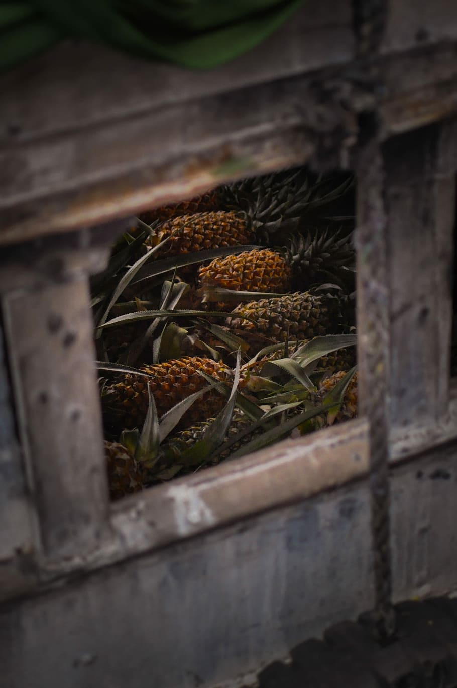 Ananas, Höhle, Boot, Ananasfrucht, Obst, Kiste, Box, Stall, keine Leute, Pflanze, Tag, Natur, selektiver Fokus, Wachstum, Nahansicht, draußen, Holz - Material, Container, Essen und Trinken, Lebensmittel, High Angle View, Fokus auf den Vordergrund, Gemüse, Frische, die Architektur, Schönheit in der Natur, Feld, 2K
