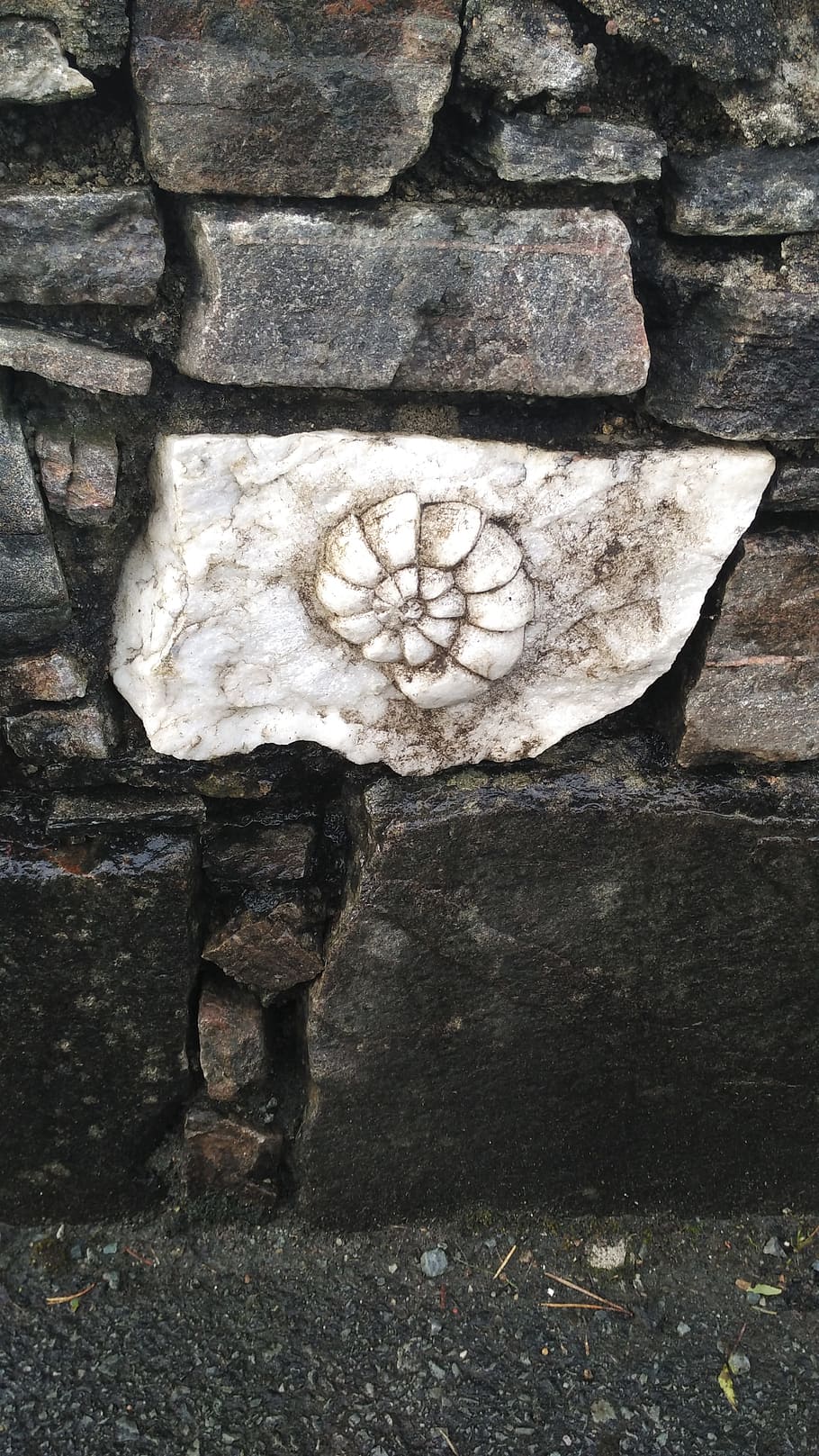 fossile, roccia, Sassi, gesso, rocce, pietre, parete, bianca, pietra, materiale lapideo, storia, nessuno, struttura costruita, architettura, scultura, giorno, solido, arte e artigianato, avvicinamento, creatività, mestiere, rappresentazione, rappresentazione umana, intaglio - prodotto artigianale, caratteristica della parete, all'aperto, pietra - oggetto, natura, muro di pietra, intaglio, 4K